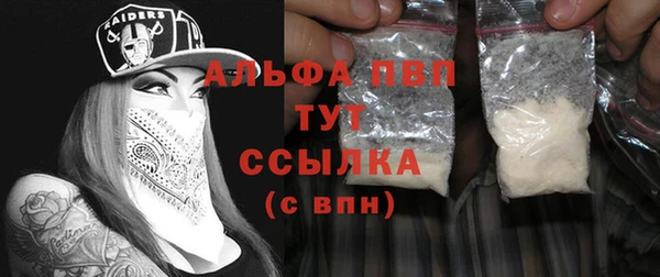 молекула духа Ладушкин