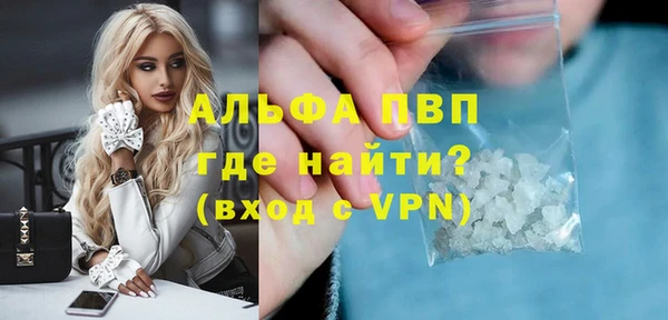 молекула духа Ладушкин