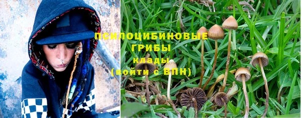 МДМА Лабытнанги