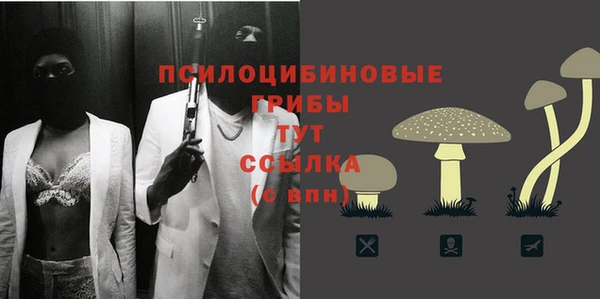 а пвп мука Кукмор