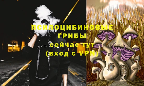 молекула духа Ладушкин