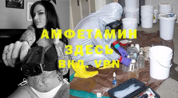 молекула духа Ладушкин