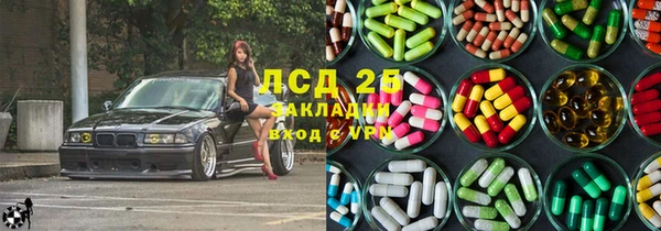молекула духа Ладушкин