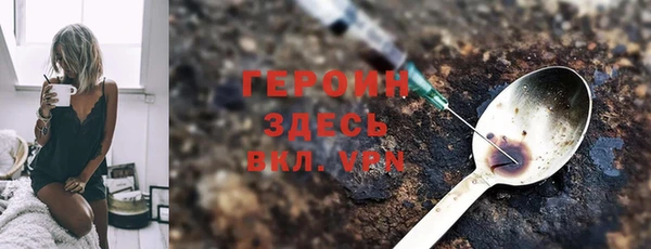 молекула духа Ладушкин